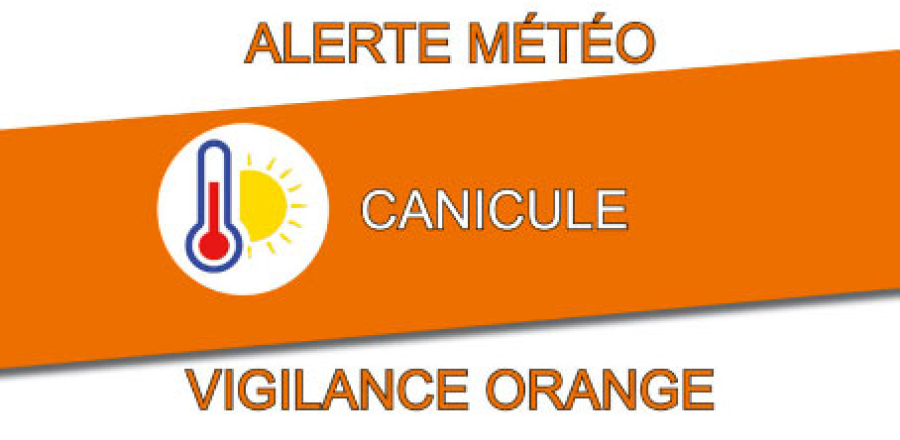 canicule
