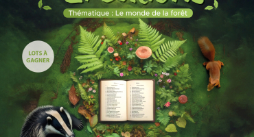 Concours JC de l'environnement