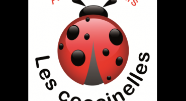 Les coccinelles